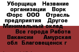 Уборщица › Название организации ­ Ворк Форс, ООО › Отрасль предприятия ­ Другое › Минимальный оклад ­ 24 000 - Все города Работа » Вакансии   . Амурская обл.,Благовещенск г.